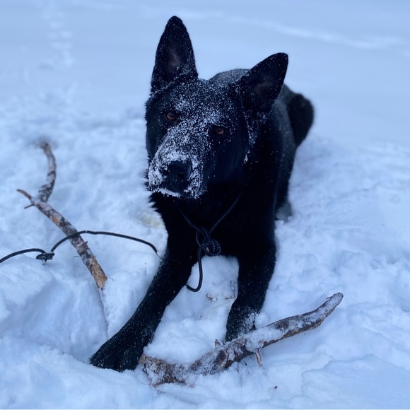 Meet your Posher, Keki - Picture 1 of 5